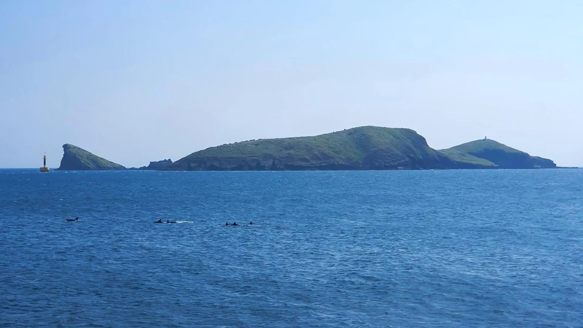 Jeju Neulboyi Ohu Pensyeon Hotel